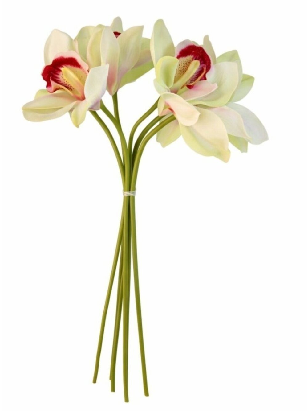 Artificial Cymbidium Orchid Stems Cream Green Burgundy Faux Orchid Bouquet Reali